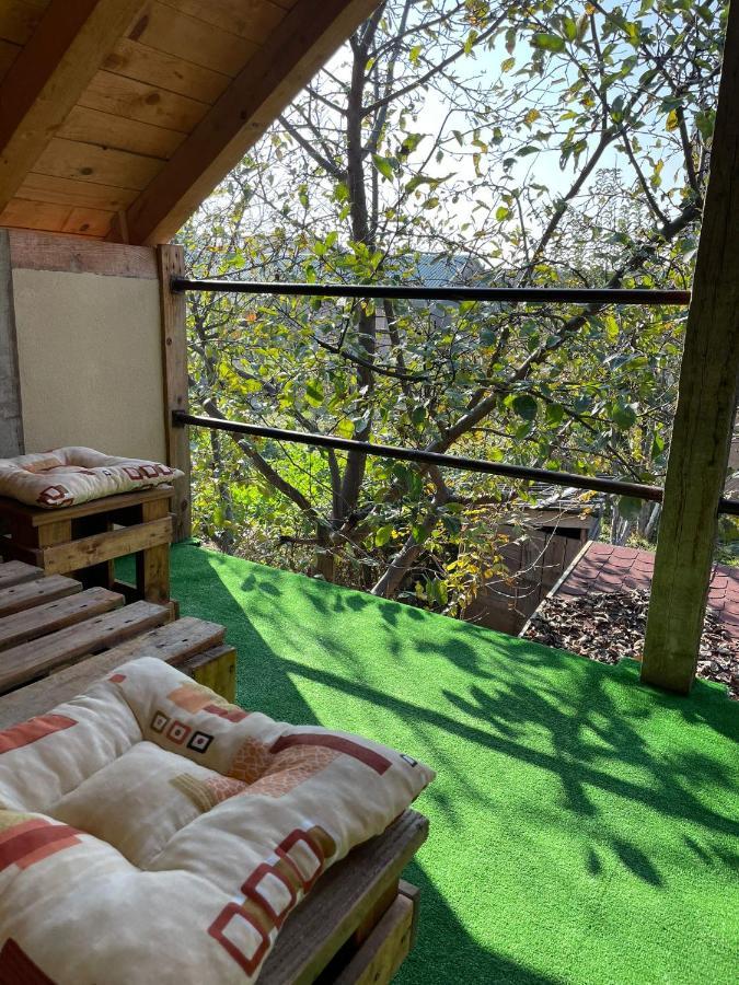 Apartmani Marija Zemun Zemun Polje Экстерьер фото
