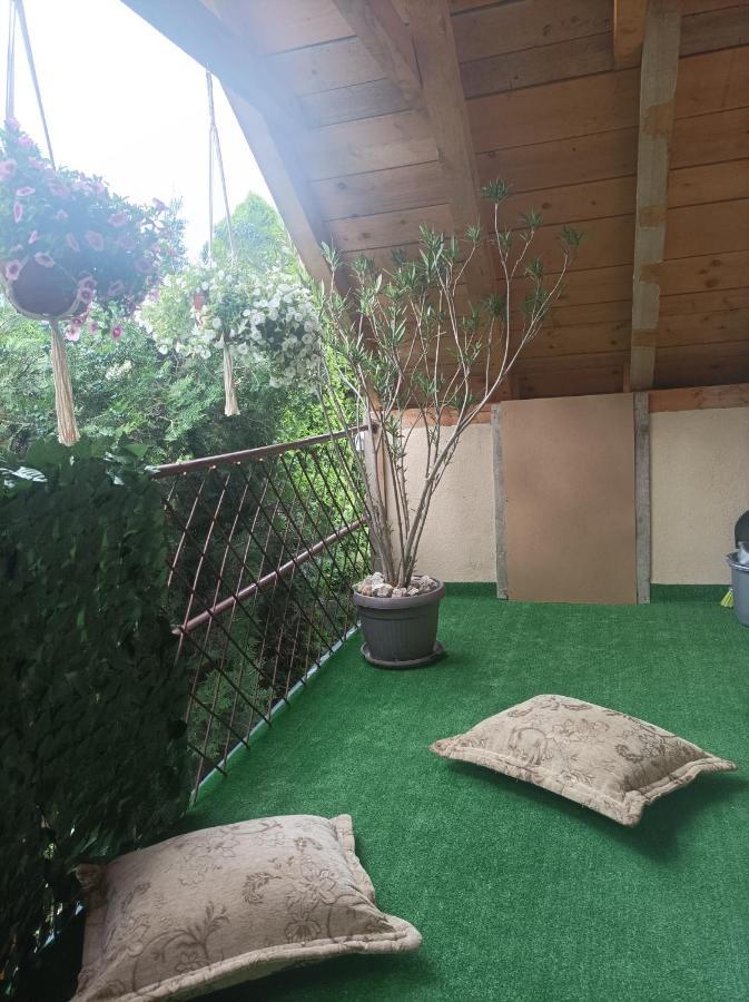 Apartmani Marija Zemun Zemun Polje Экстерьер фото